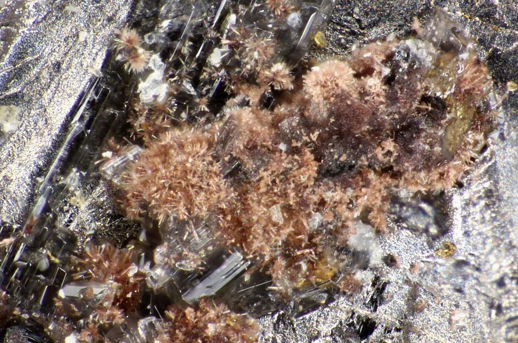 Raisaite & Ilirneyite