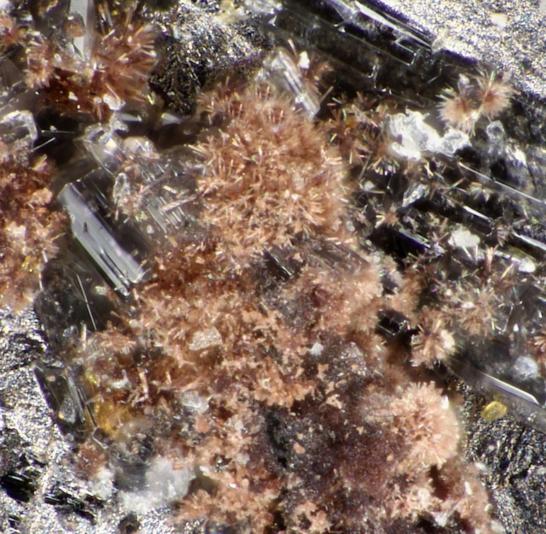 Raisaite & Ilirneyite