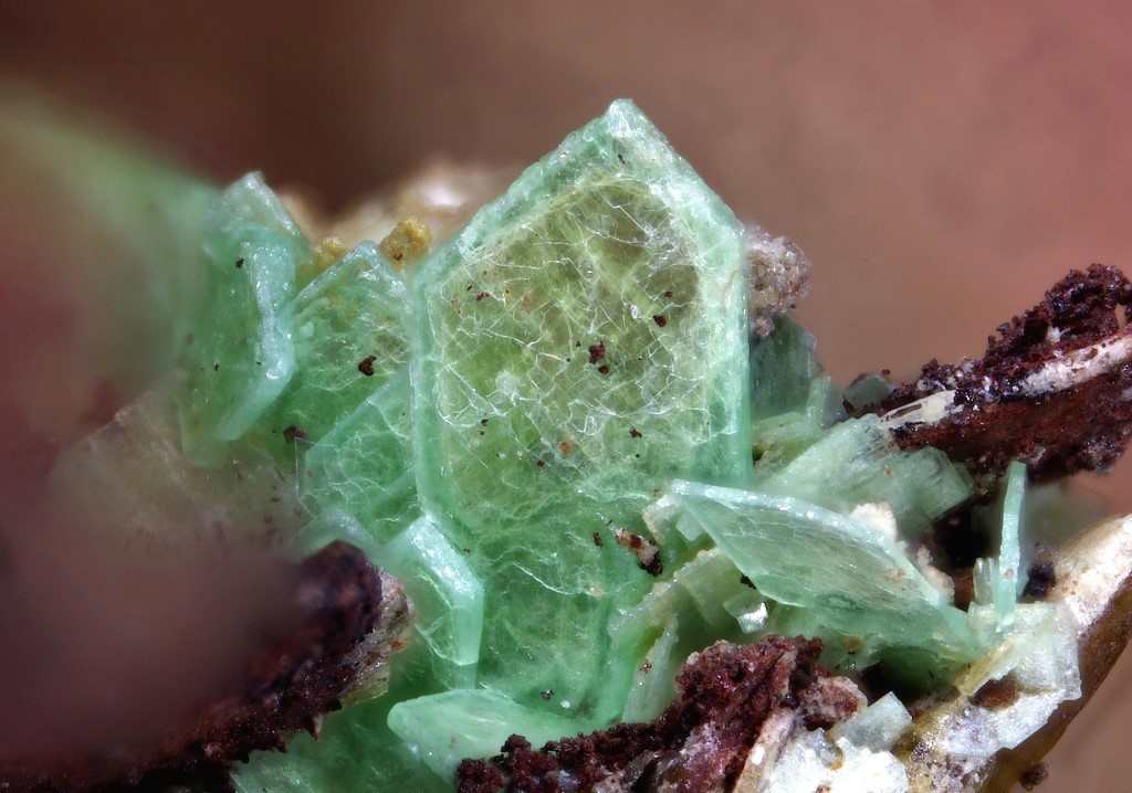 Metanováčekite & Metazeunerite