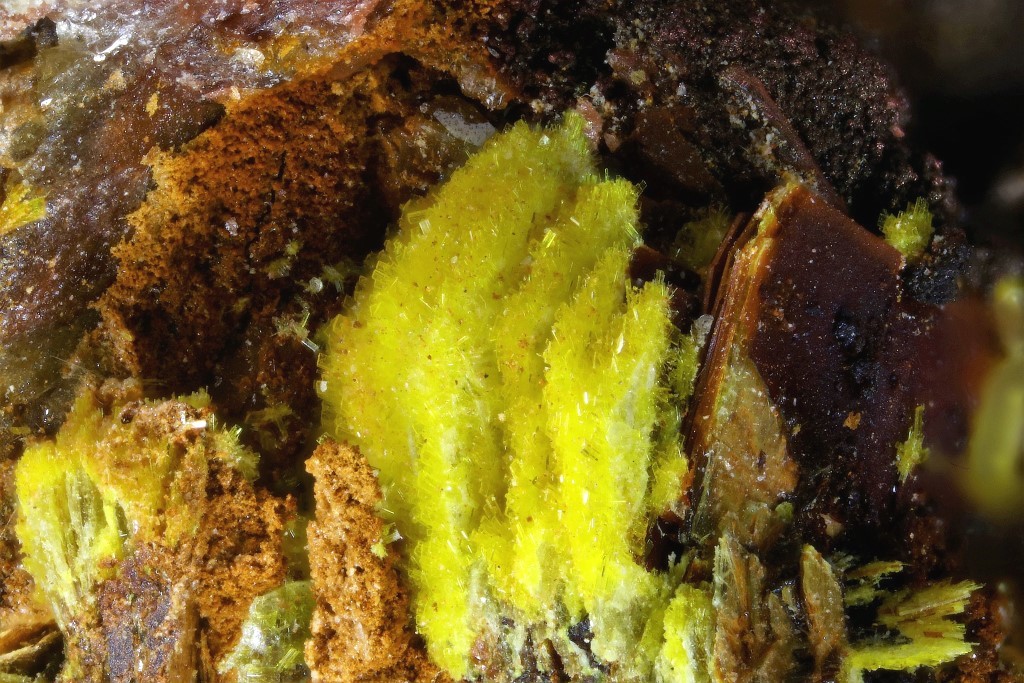 Phosphuranylite & Bassetite