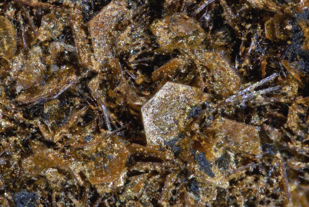 Fougèrite