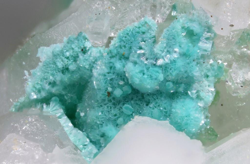 Cuprodongchuanite Veszelyite & Theisite