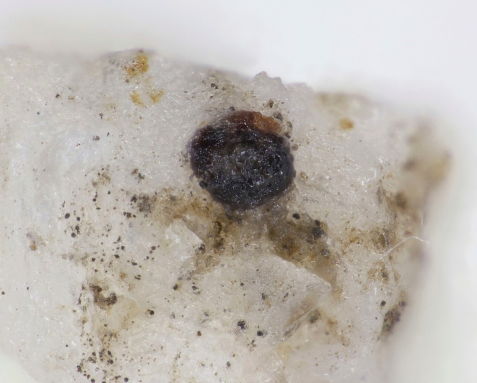 Jörgkellerite