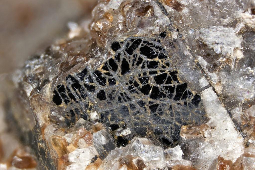 Pinakiolite