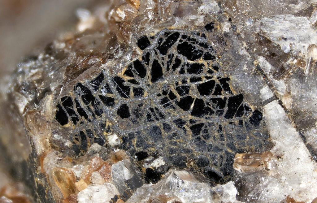 Pinakiolite