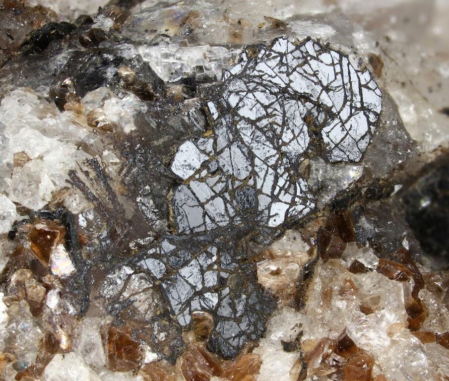 Pinakiolite