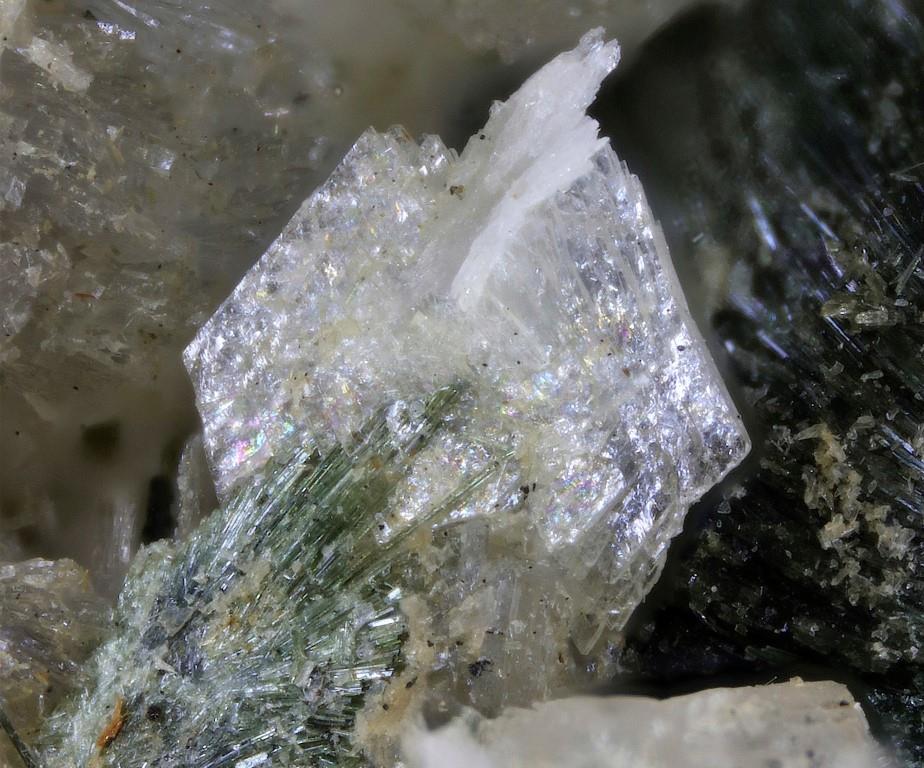 Umbite