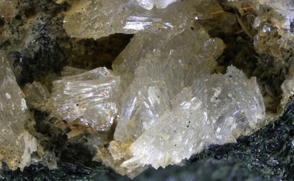Umbite