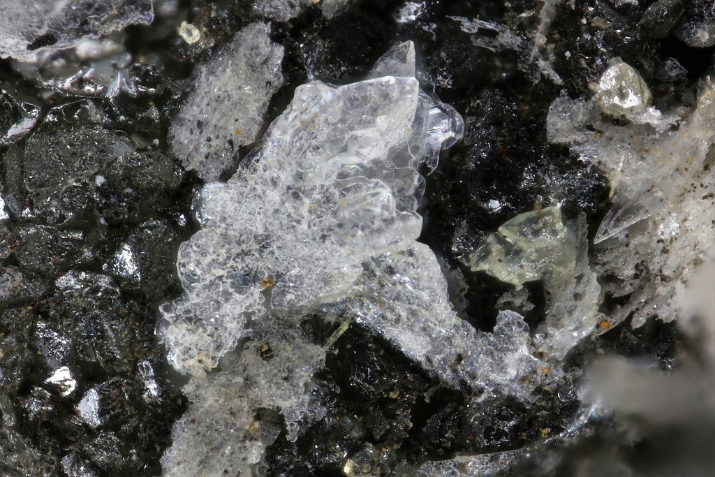 Freitalite