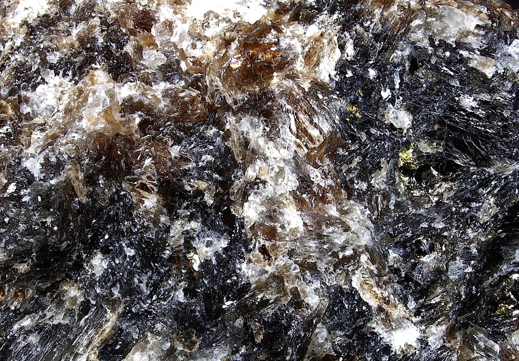 Aspidolite