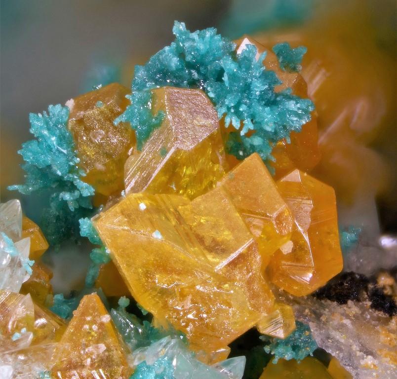 Herbertsmithite & Wulfenite