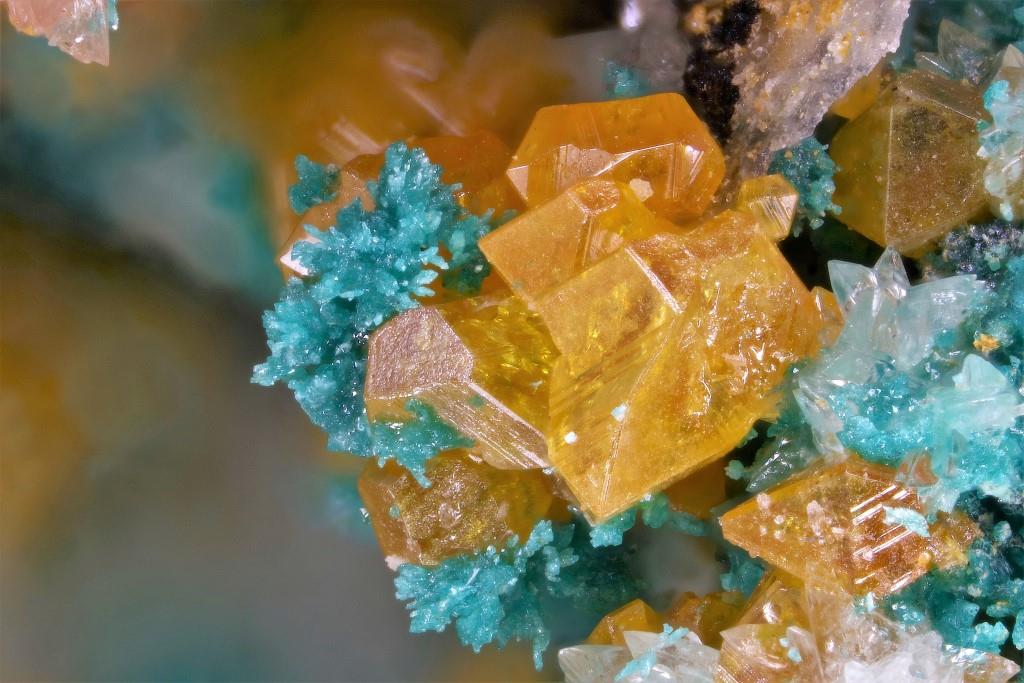 Herbertsmithite & Wulfenite