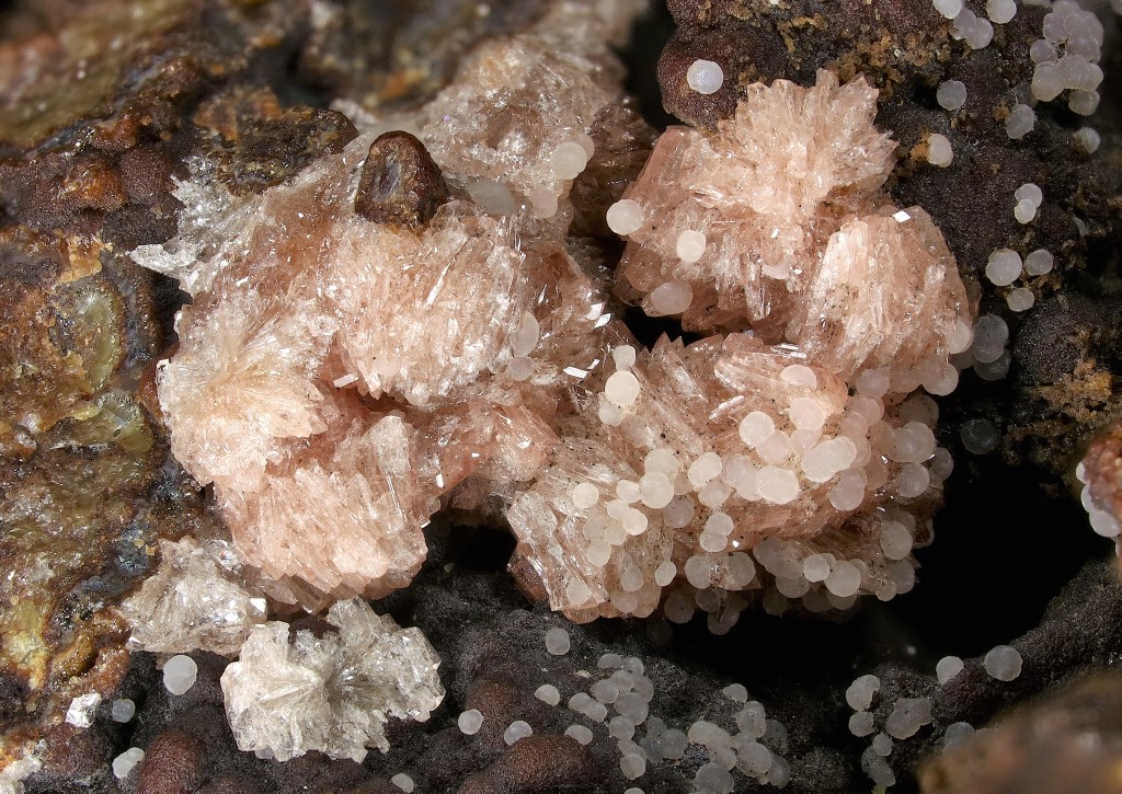 Sarkinite