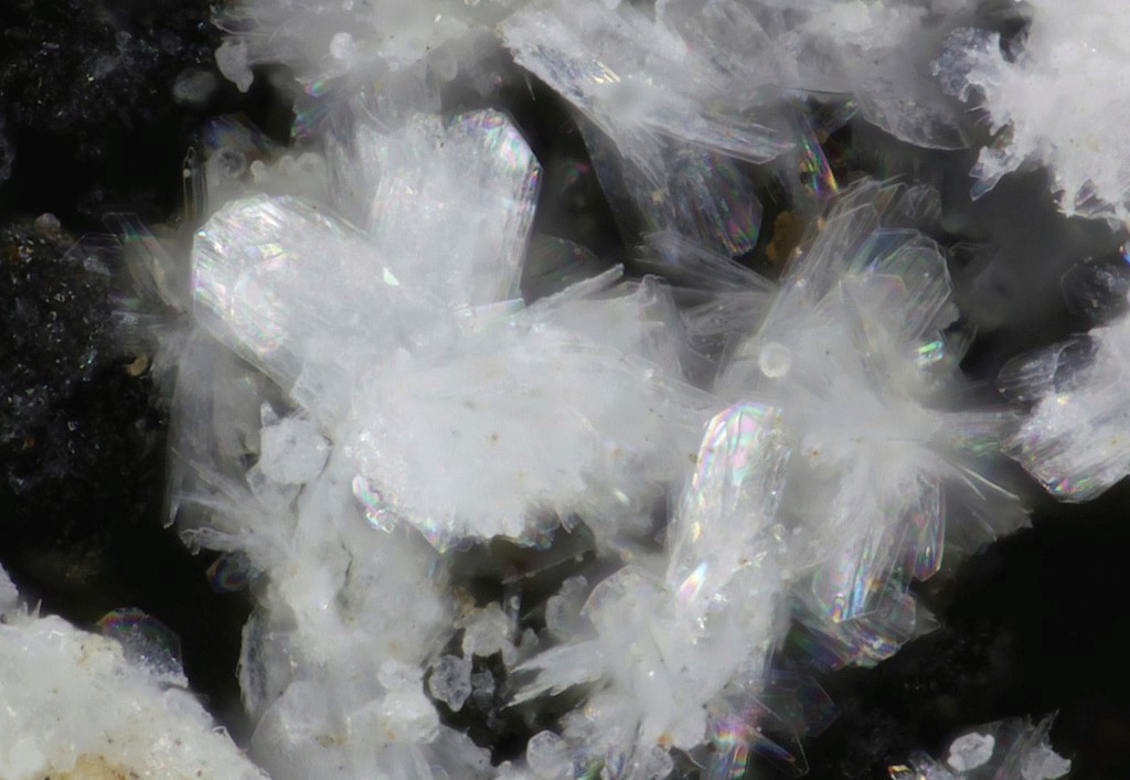 Penriceite Tomsquarryite & Elliottite