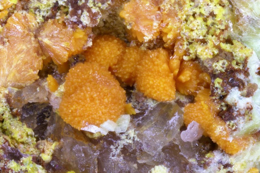 Asselbornite Uranosphaerite Trögerite Metazeunerite Uranophane & Phosphuranylite