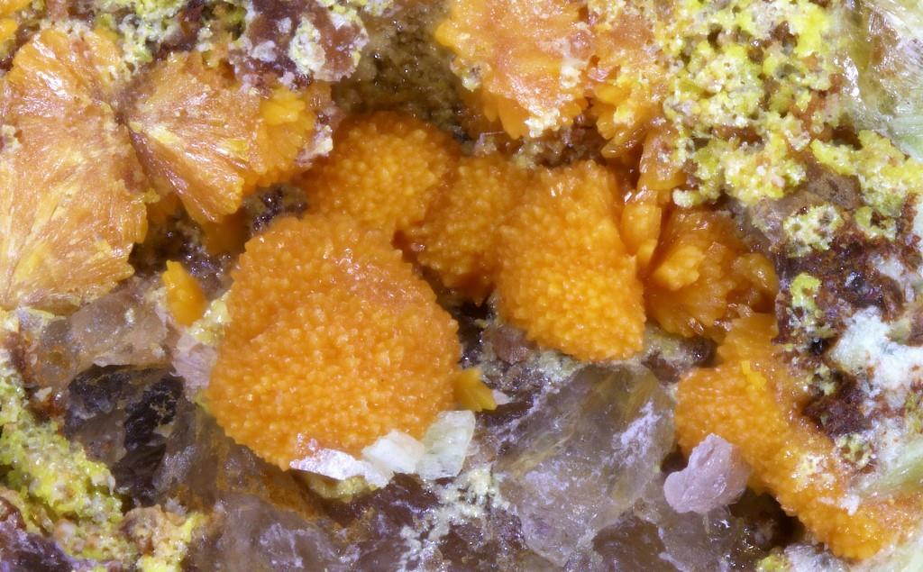 Asselbornite Uranosphaerite Trögerite Metazeunerite Uranophane & Phosphuranylite