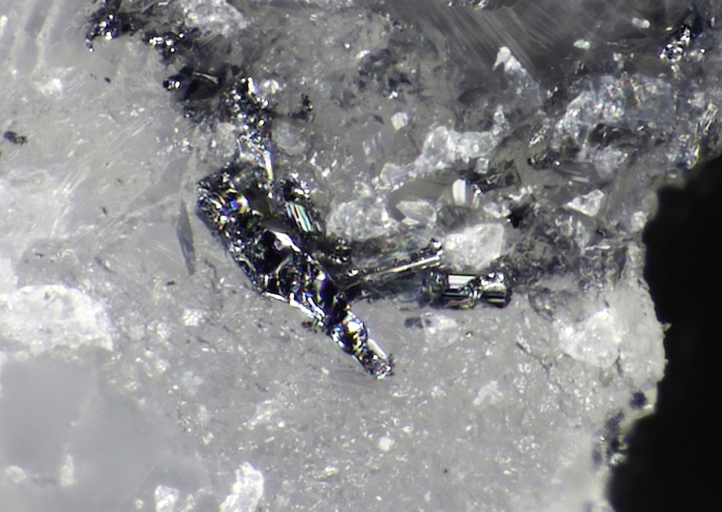 Bernarlottiite