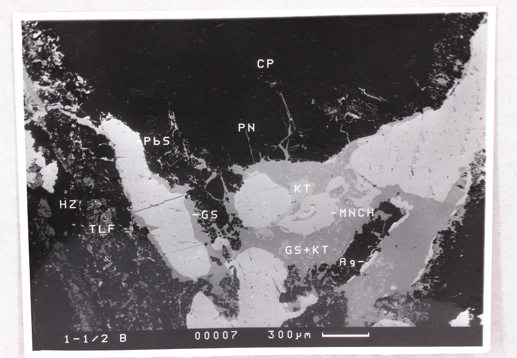 Moncheite Thalfenisite Argentopentlandite & Kotulskite