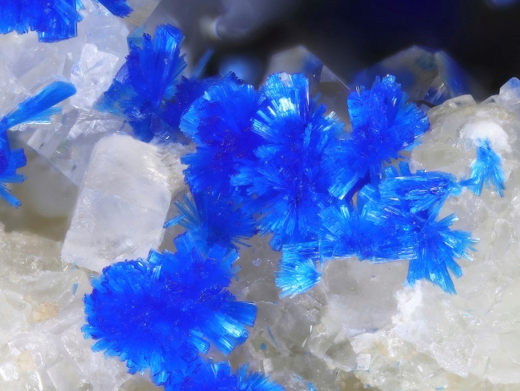 Kinoite
