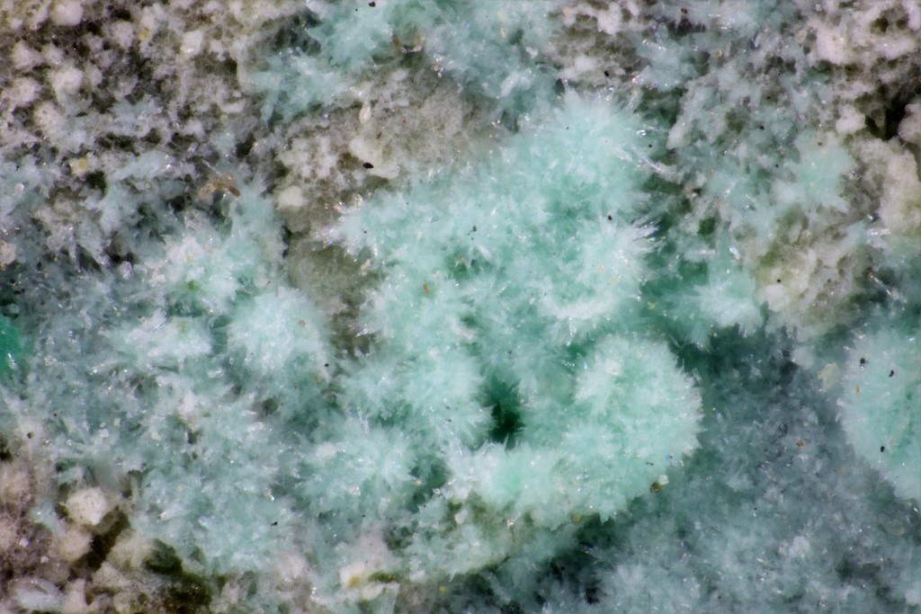 Pendevilleite-(Y) & Astrocyanite-(Ce)