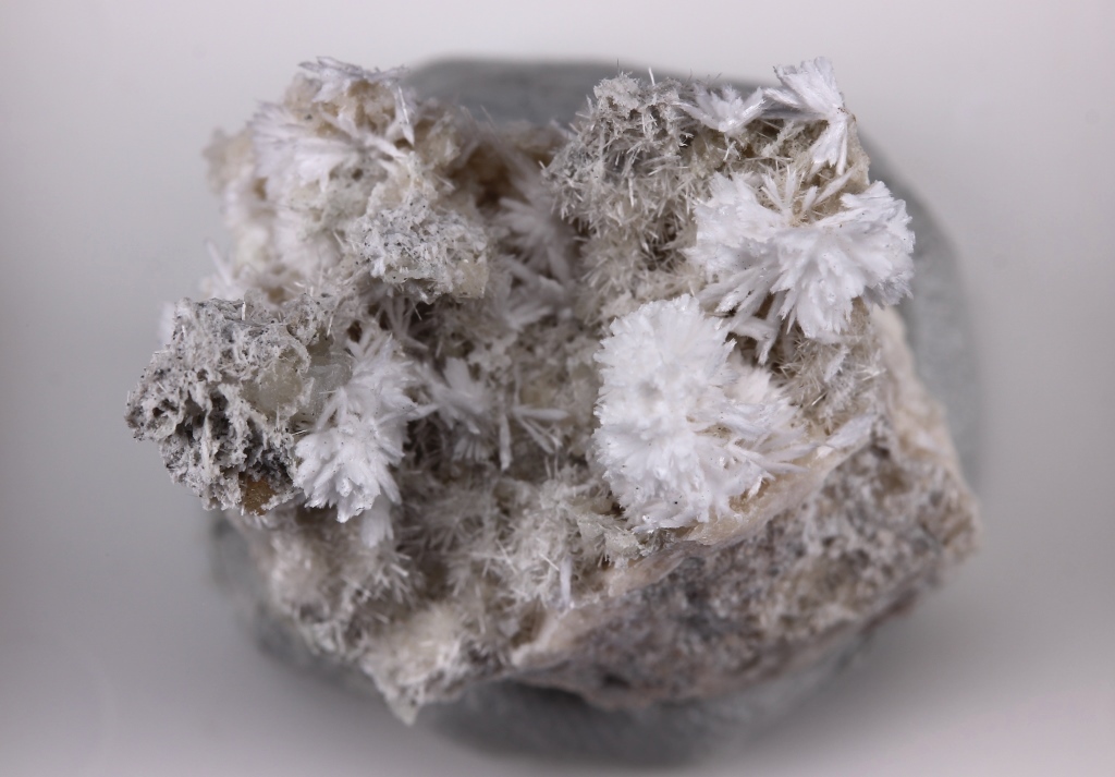 Kasatkinite