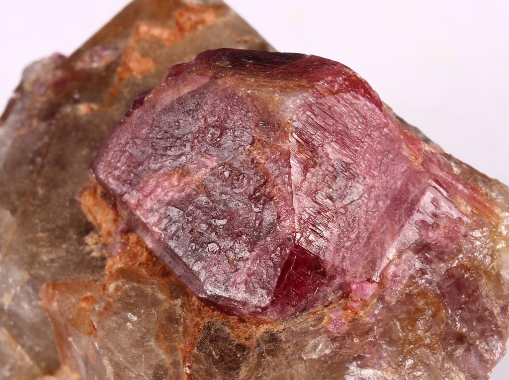 Liddicoatite