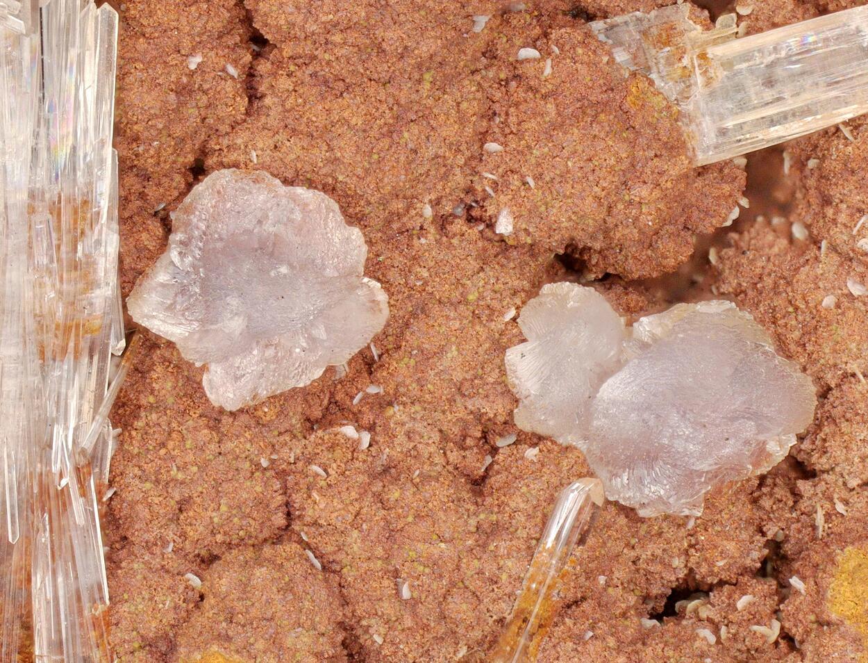 Hillite & Scholzite