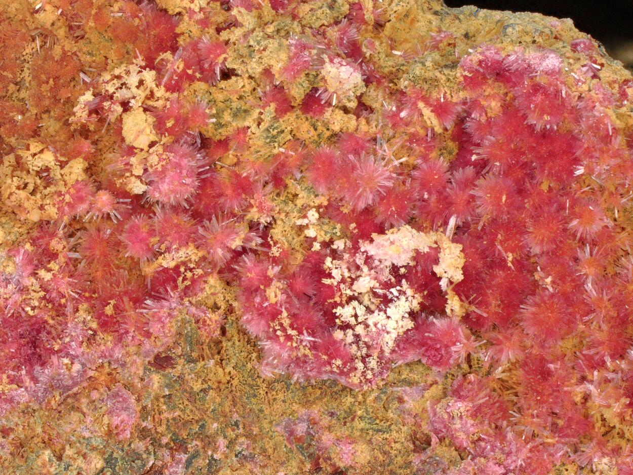 Erythrite