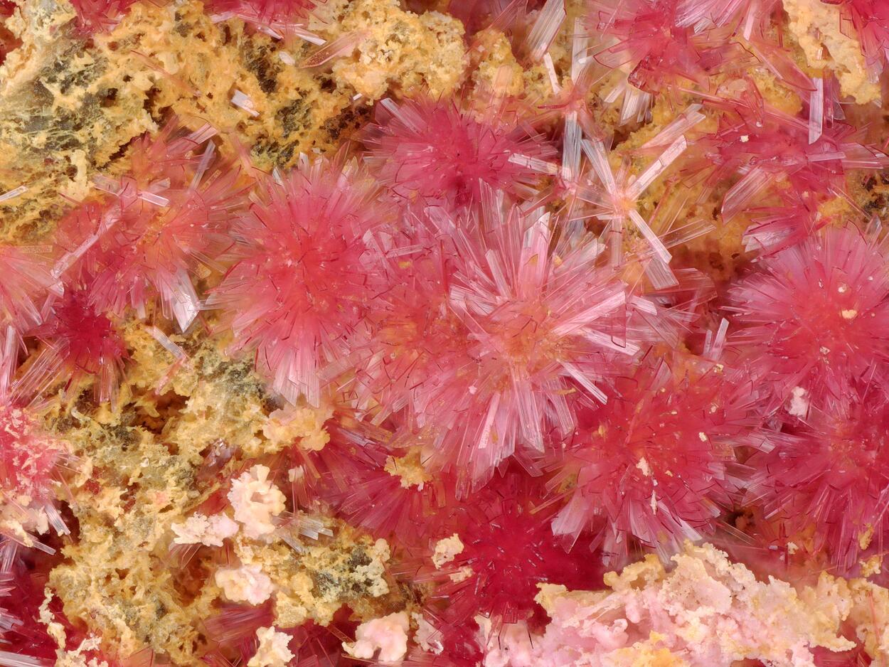 Erythrite