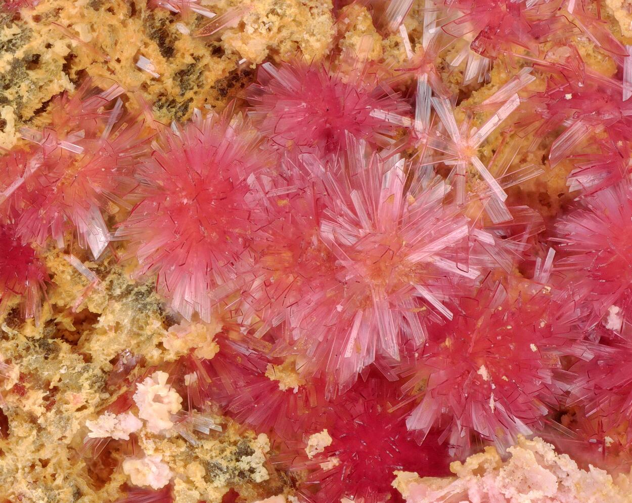 Erythrite