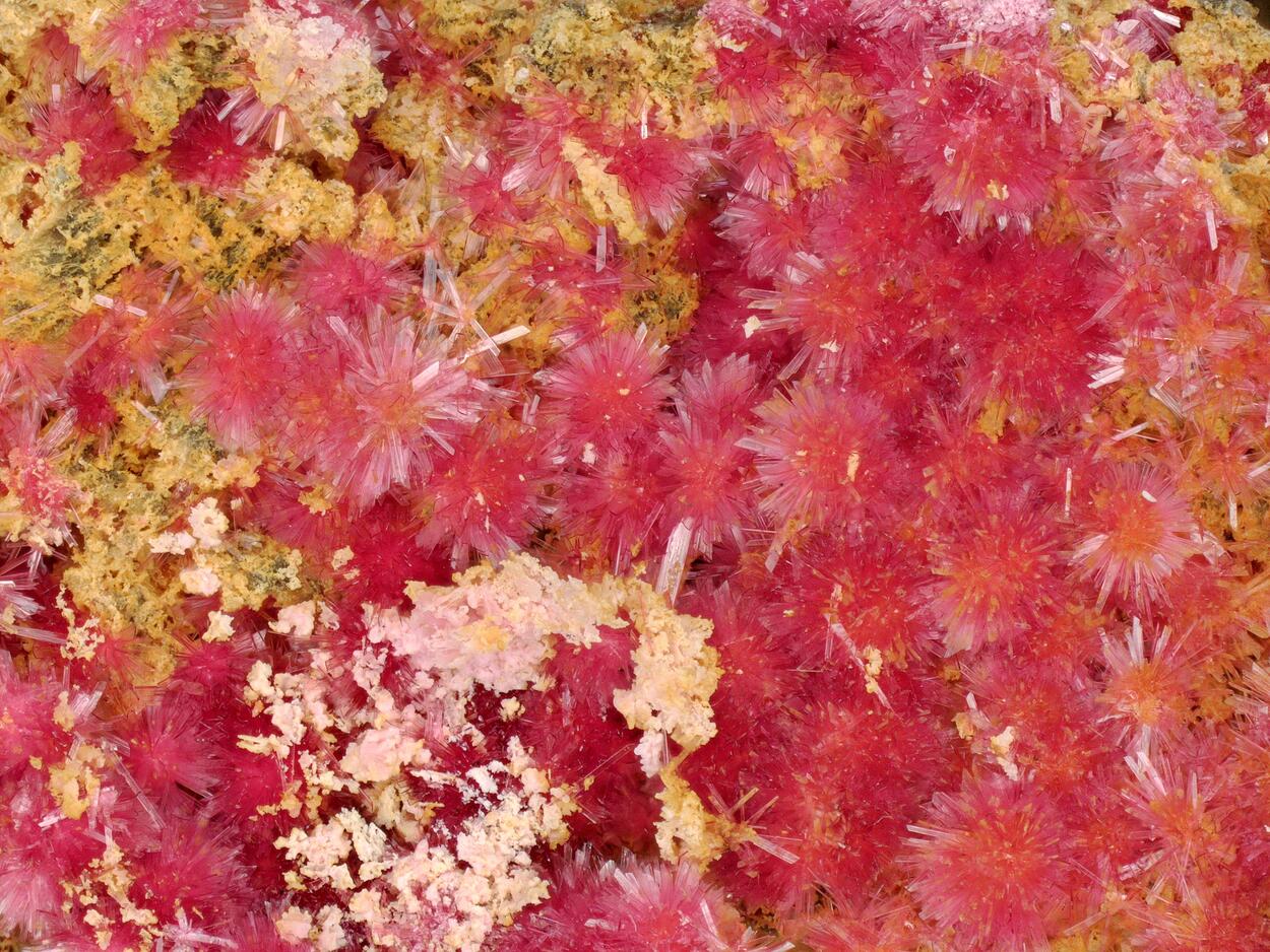 Erythrite
