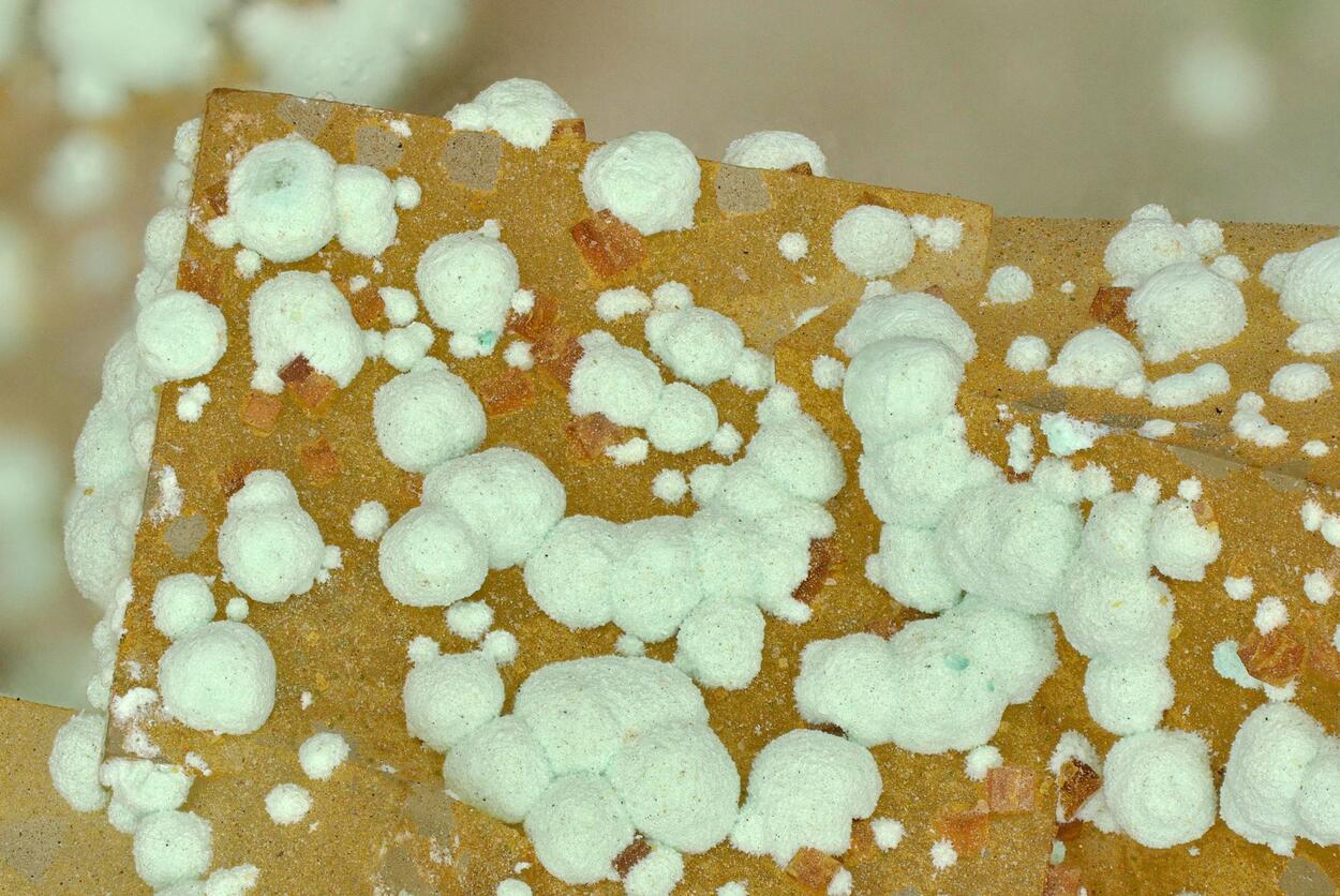 Strashimirite Bariopharmacosiderite & Cornwallite Psm Parnauite