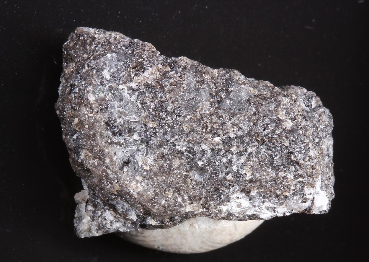 Potassic-ferro-pargasite