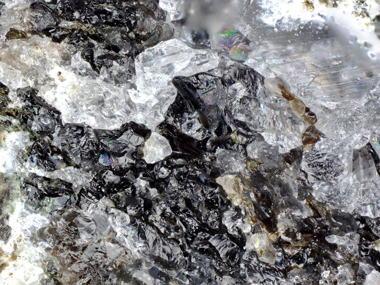 Potassic-ferro-pargasite