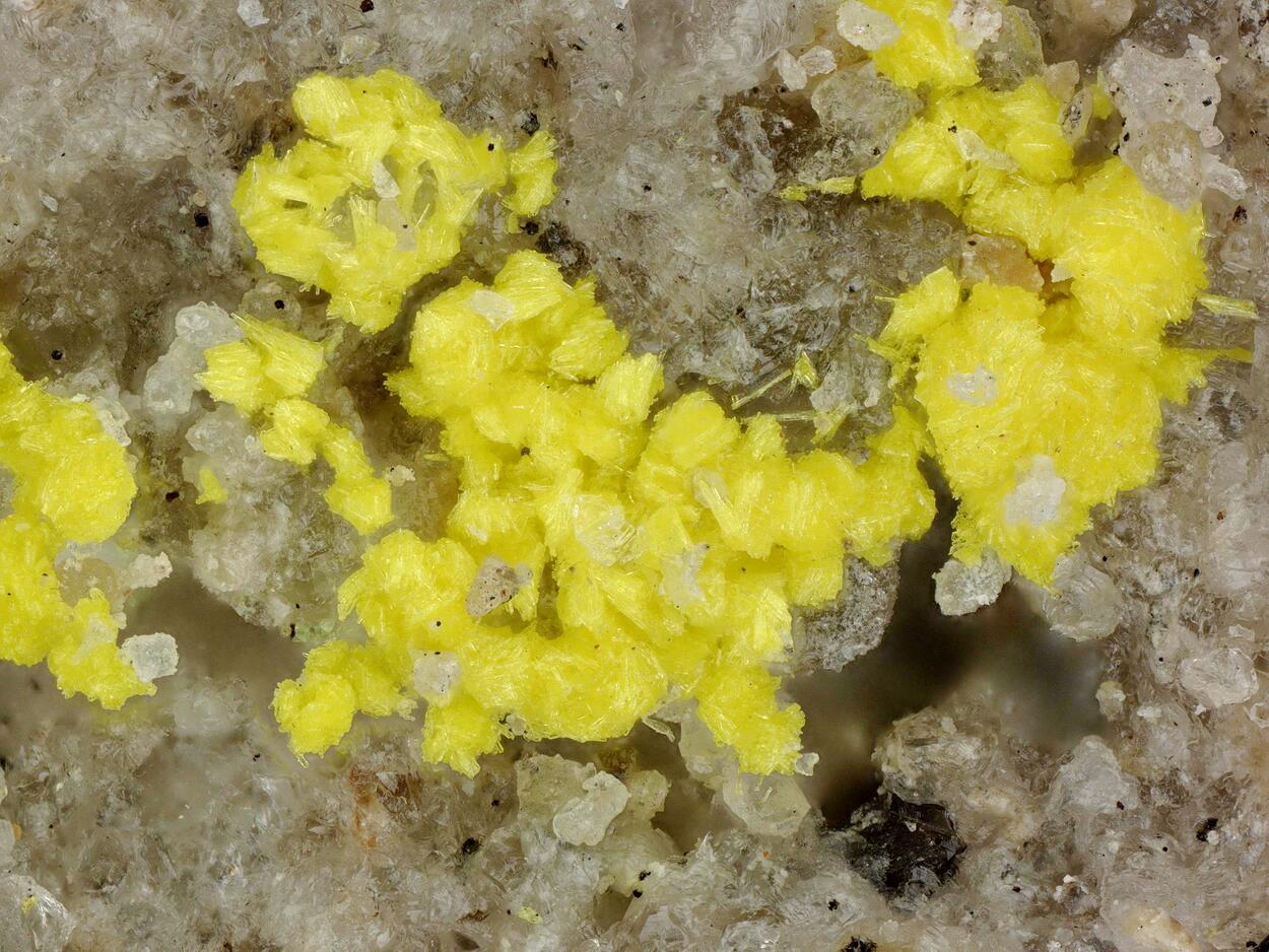 Bayleyite