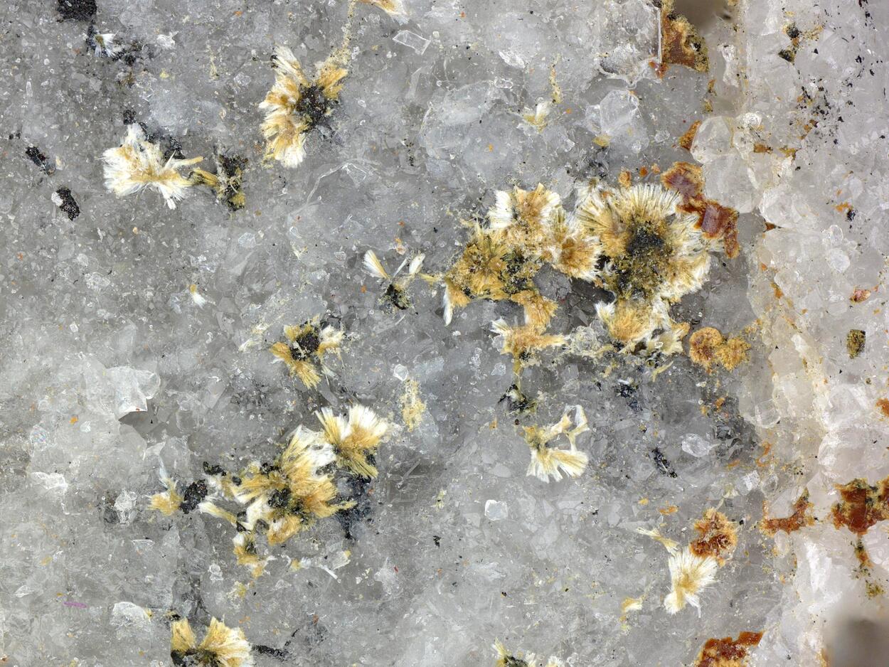 Monazite-(Ce)