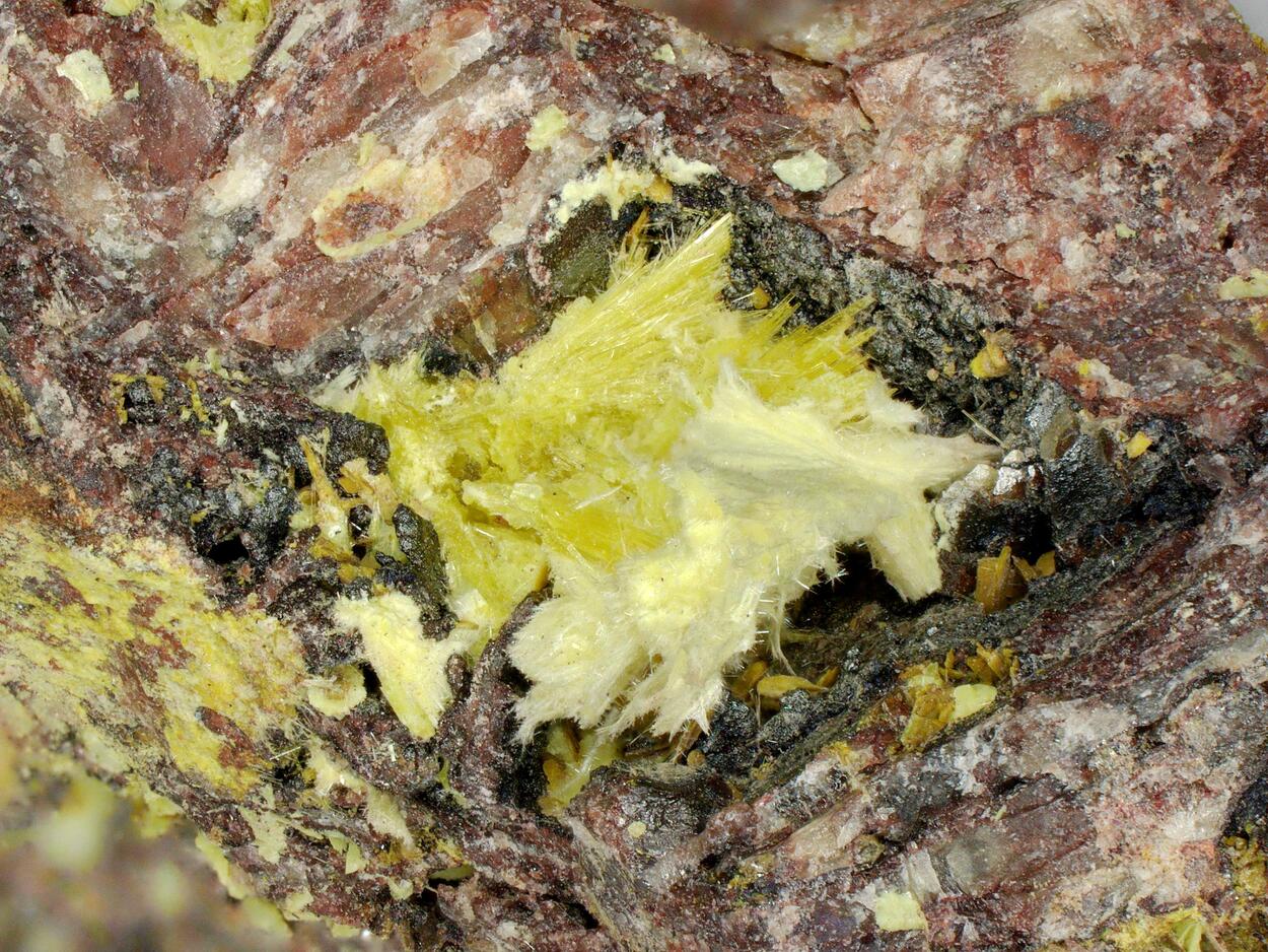 Phurcalite & Studtite