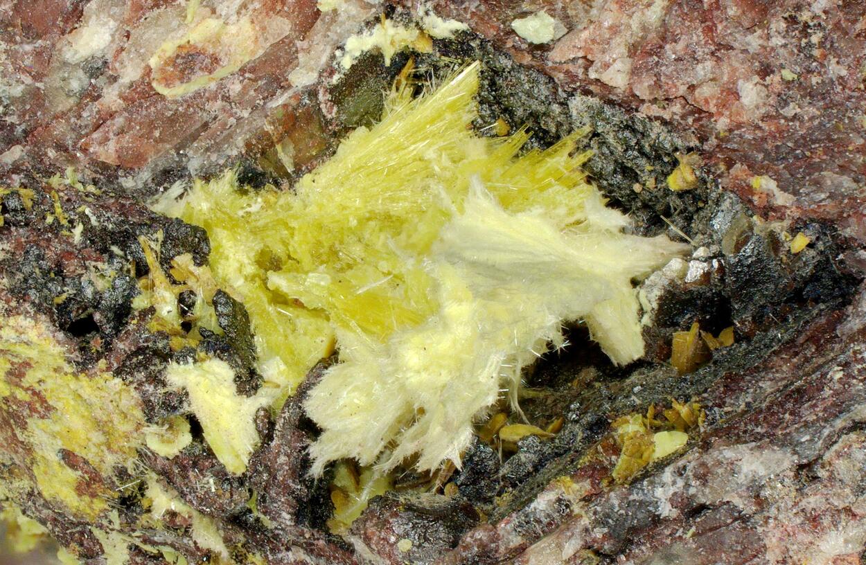 Phurcalite & Studtite