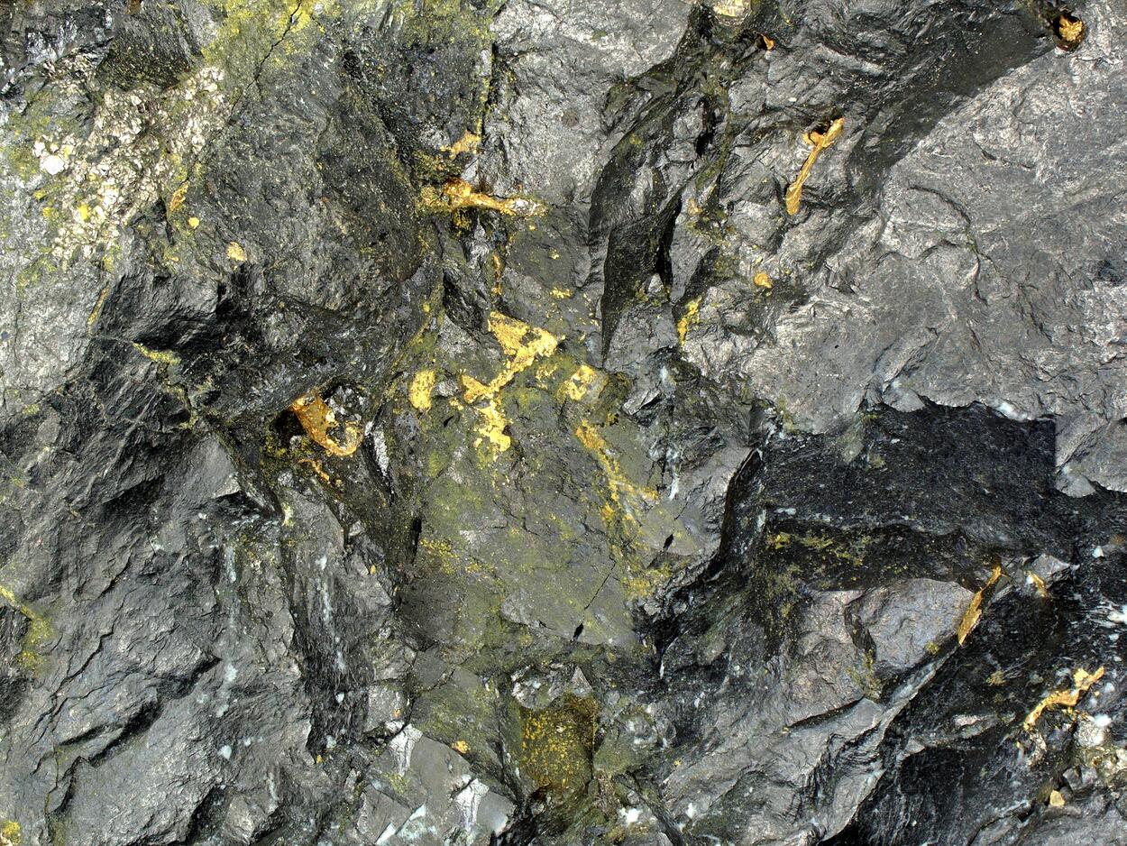 Native Gold & Uraninite