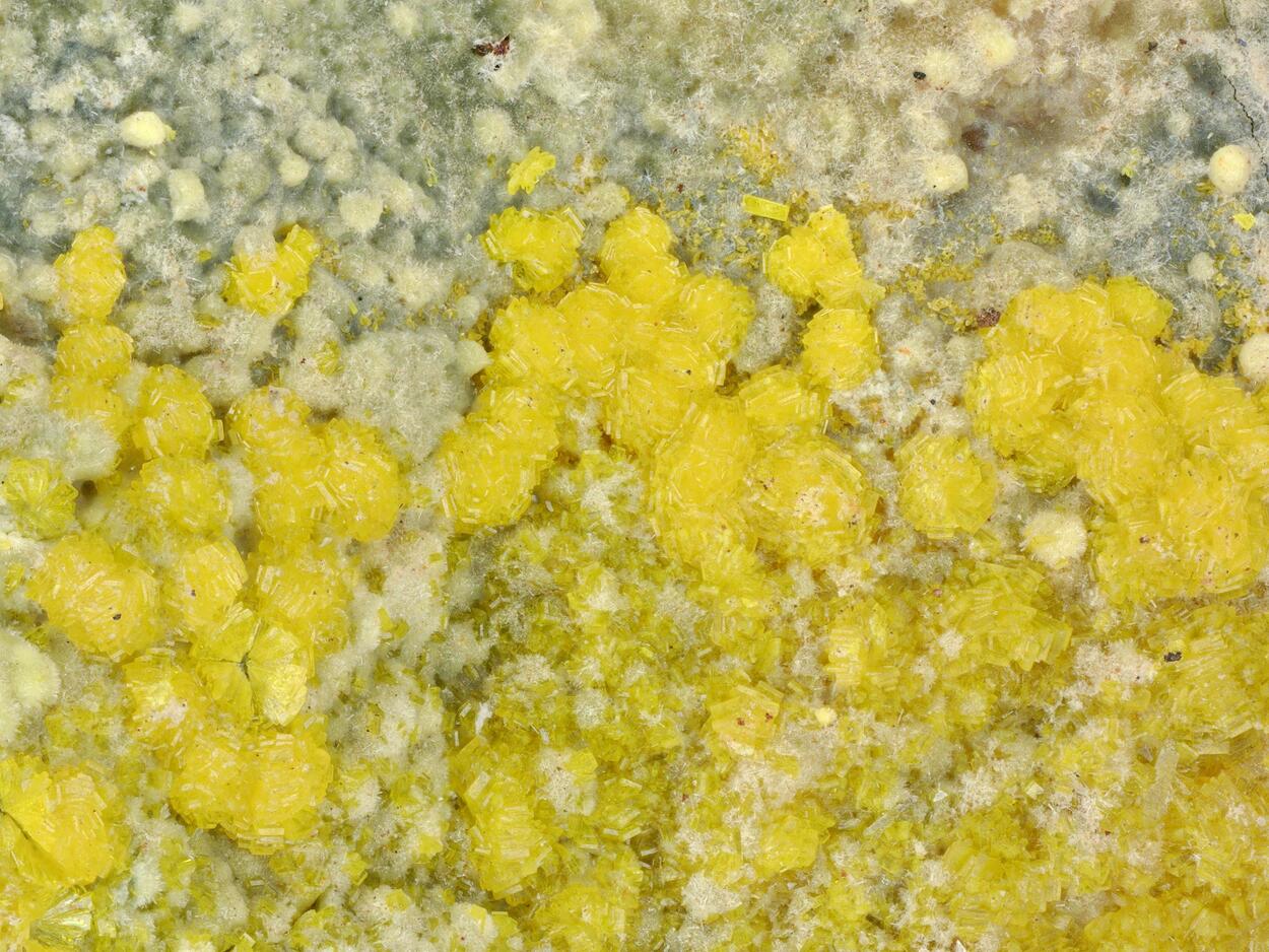 Becquerelite & Fourmarierite