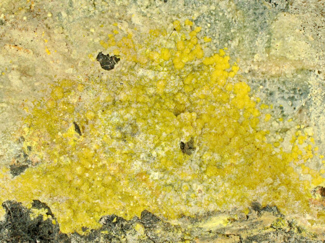 Becquerelite & Fourmarierite