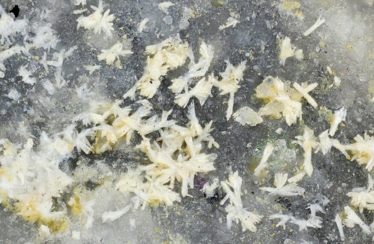 Gasparite-(Ce)