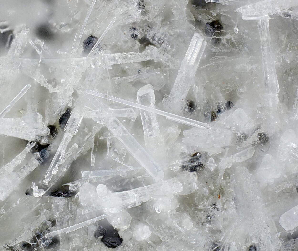 Cancrisilite