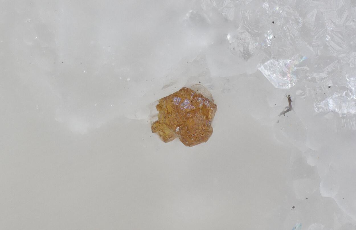 Bromargyrite