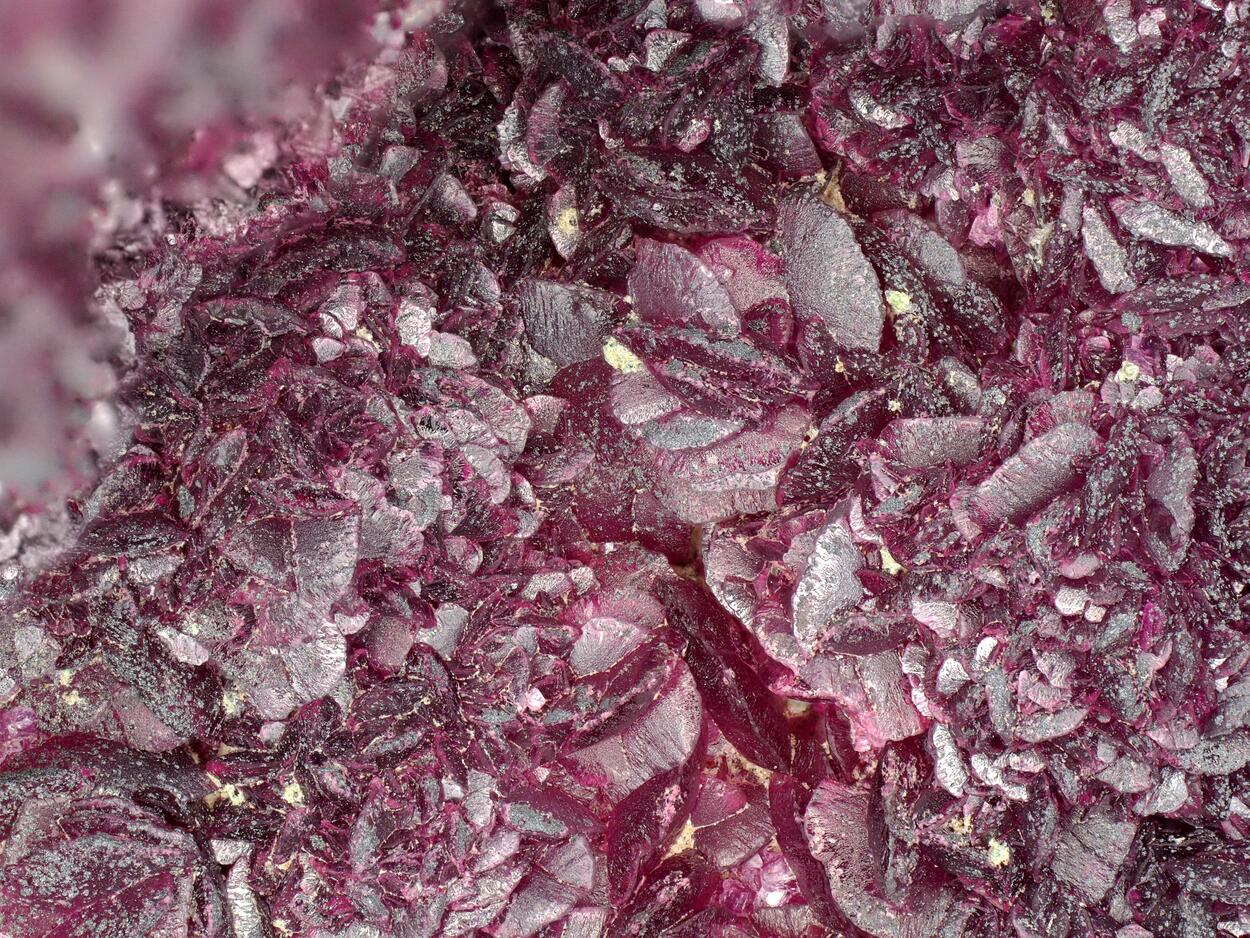 Spherocobaltite