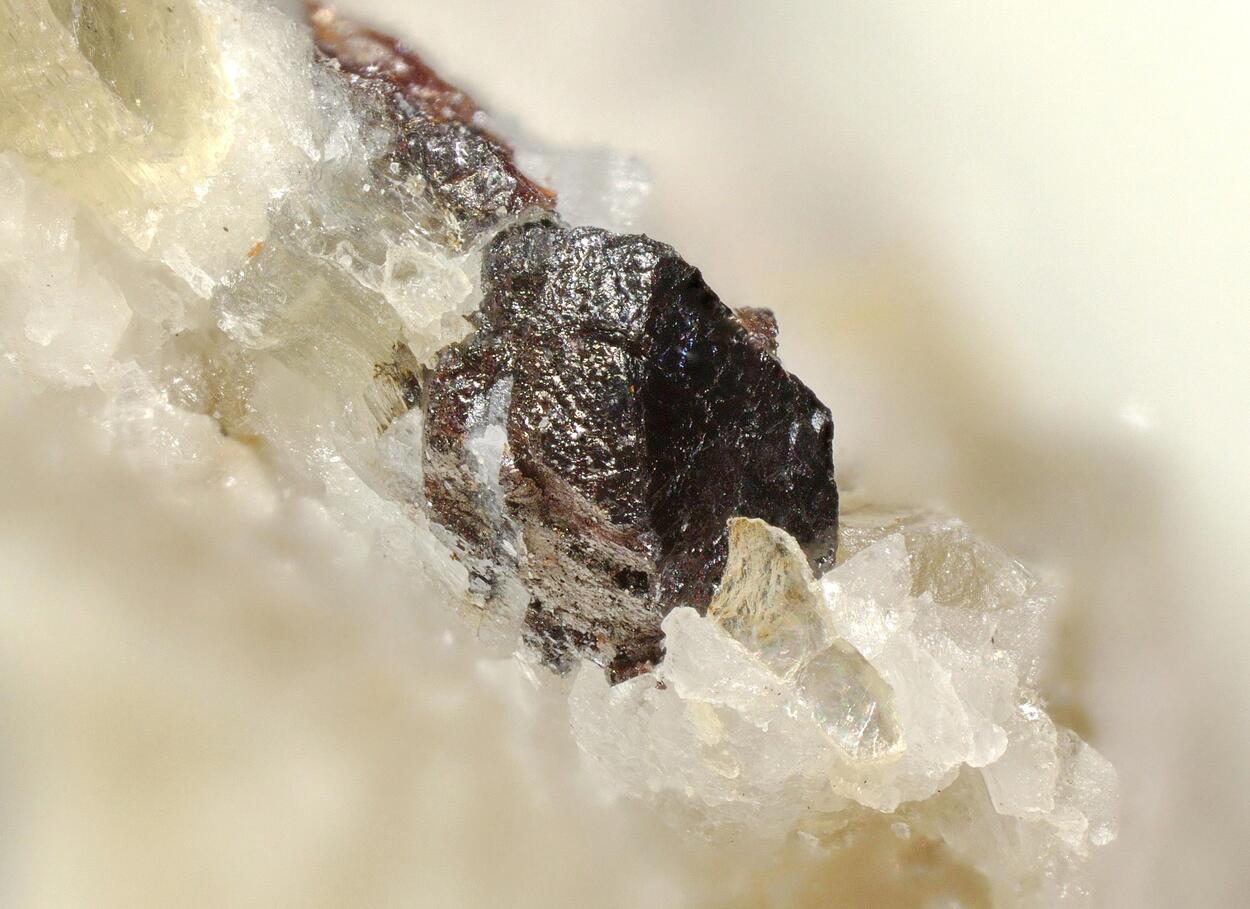 Tantalowodginite