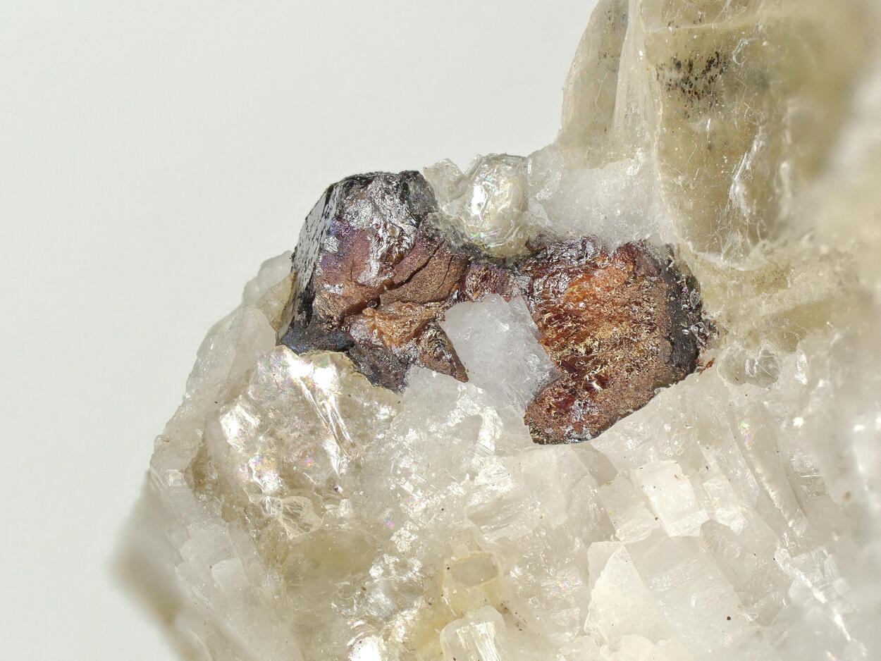 Tantalowodginite