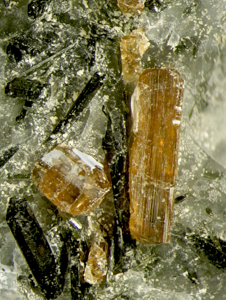 Shcherbakovite