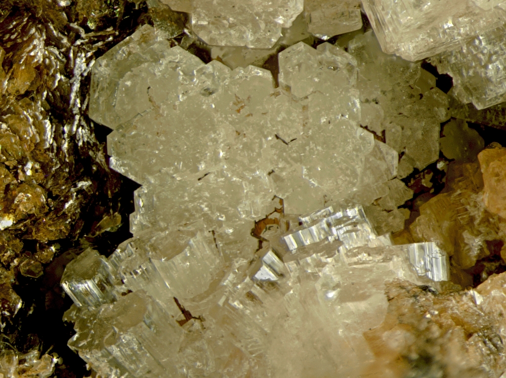 Leifite Eirikite Polylithionite & Manganoneptunite