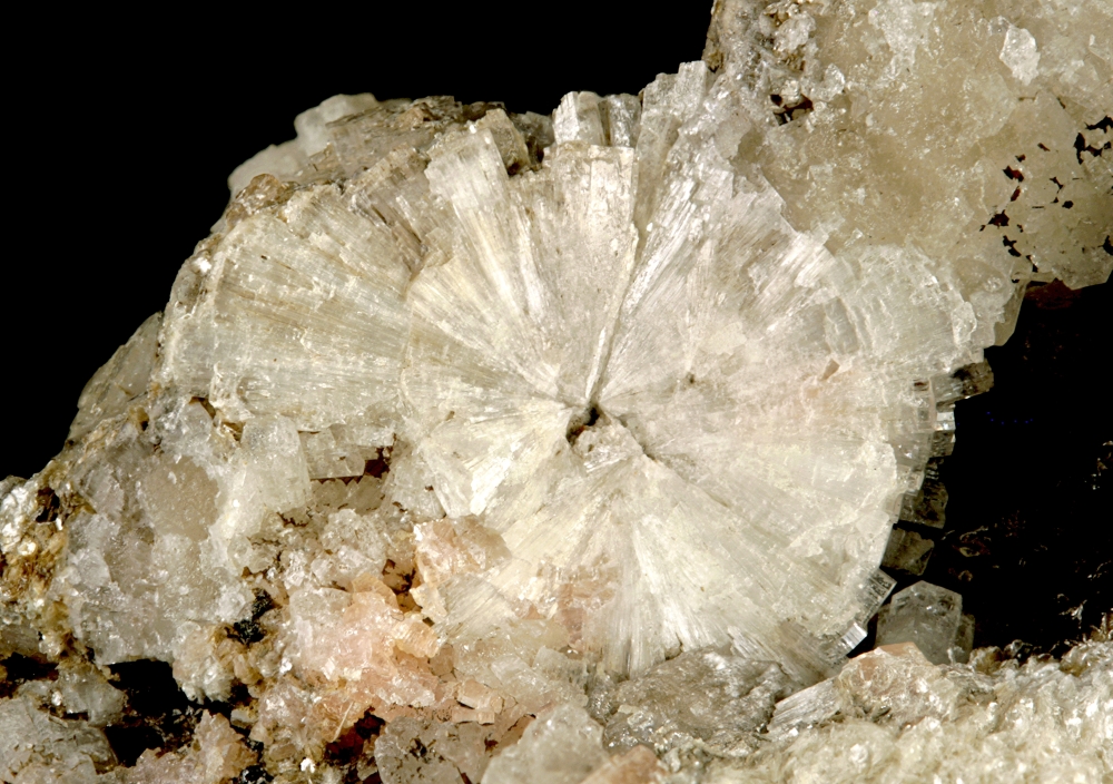 Leifite Eirikite Polylithionite & Manganoneptunite